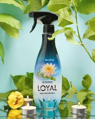 معطر جو مركز لويال 450 مل Morning