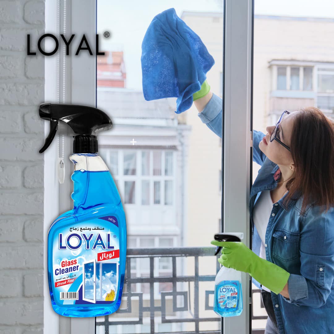 منظف وملمع زجاج لويال 750 مل